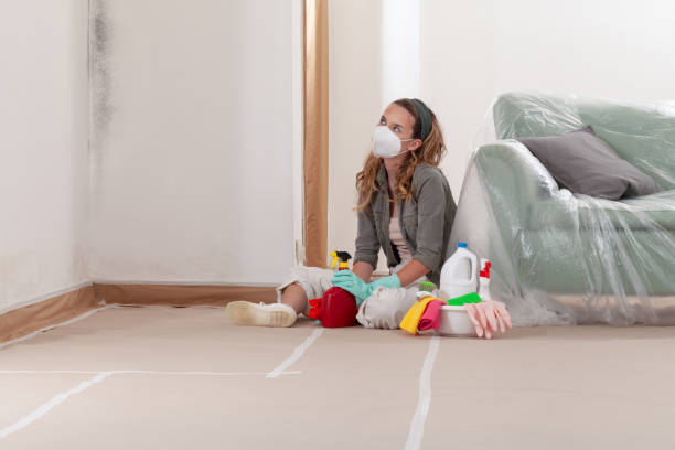 Reliable Mold Remediation contractor in Vernon Hills, IL by Cheap Mold Removal